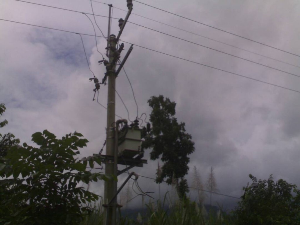 Beberapa kabel PLN tampak terjuntai akibat tertimpa pohon tumbang. (Foto. RBT/reh)